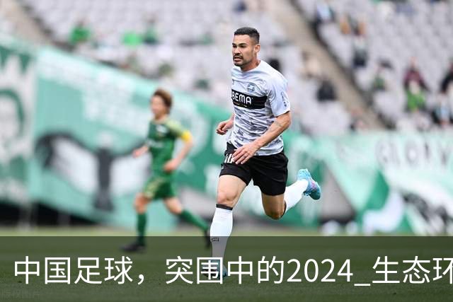 中国足球，突围中的2024 生态环境将实现好转